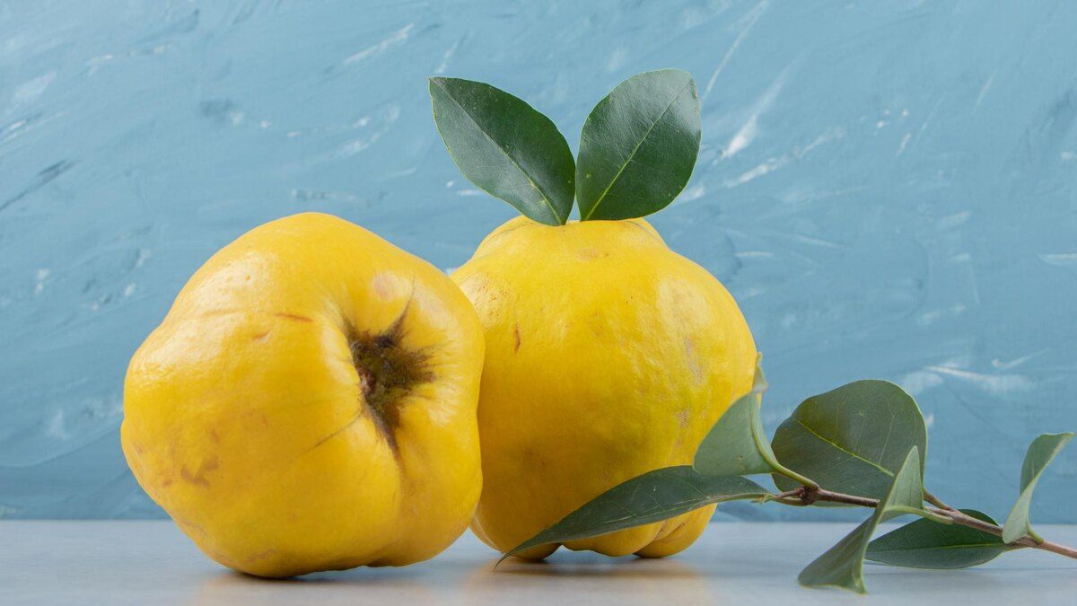 ����: ��������� ����� � ����������� ���������� � ������������� �������������