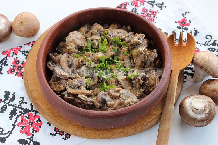 ����� � ��������� �����: ������� ������ ��������� ������ � ������ ��������