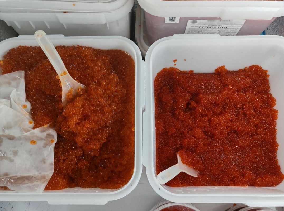 ������� ���� ����: ��� ��� ������� ��� ��������