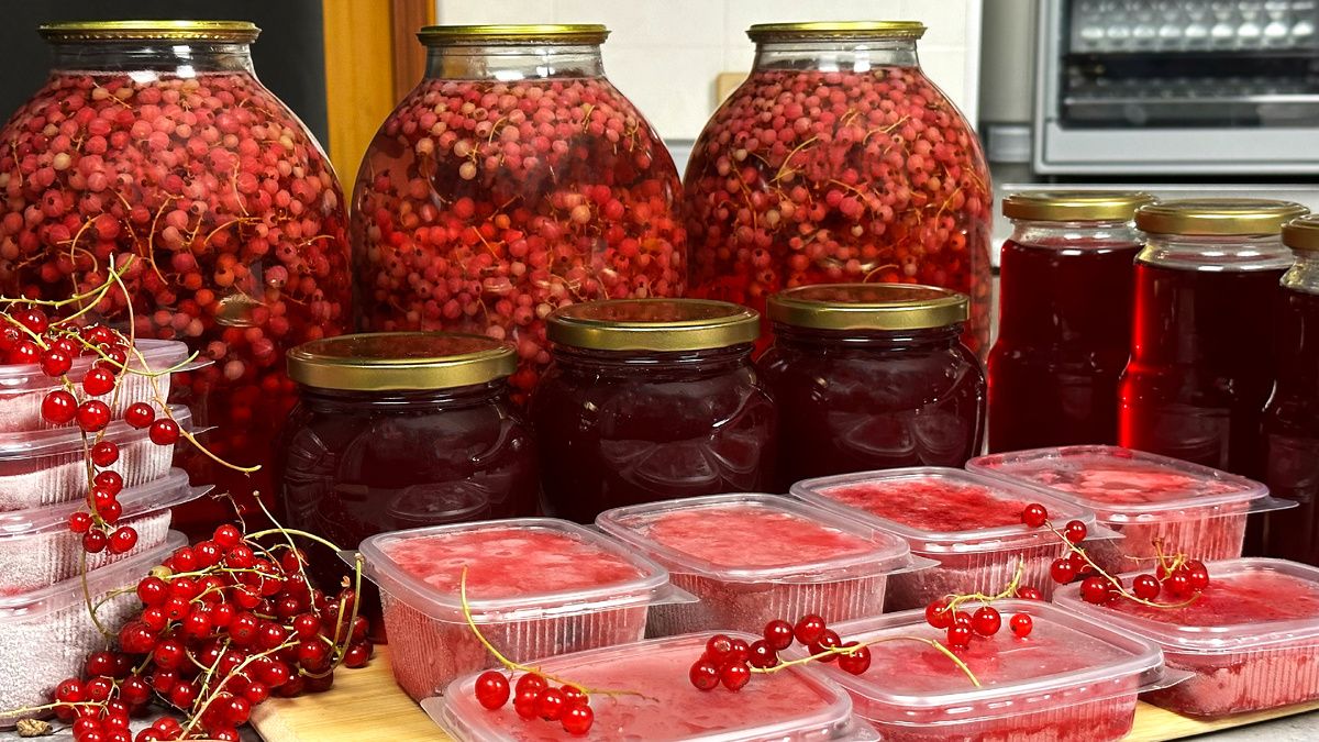 ��� ���������� ���� ����: 11 ������������ �������� ��������� ������� ���������