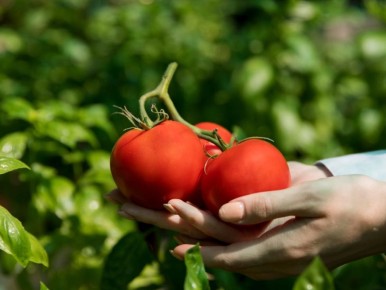 ��� ��������� �������� ������: ������ ��������� ��� ��������� ������