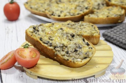 ������������ ��������: ���������������� ���� ��� ������ ������ ���