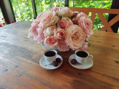 ��������� ����������� �������