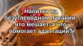 Выбор напитков на безуглеводном питании: как не ошибиться