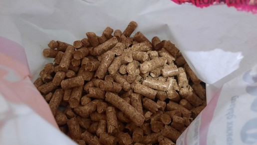 ��������������� ��������� �����������: ��� ������� ��������� ������ ������������ �����