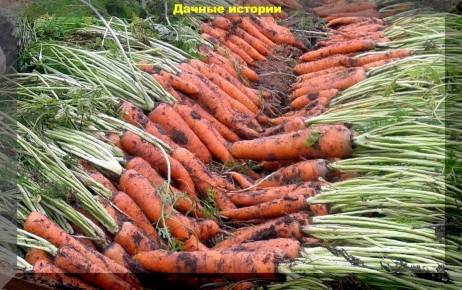 ��� ��������� ������� � ���������� �� �����