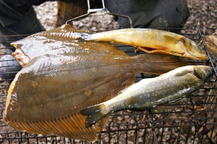 Готовим рыбу на углях: сибас и камбала как у шеф-повара
