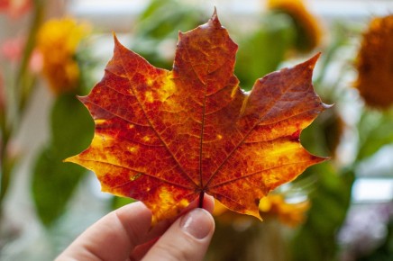 ������� ������� ������: ��� ����������� �� ������