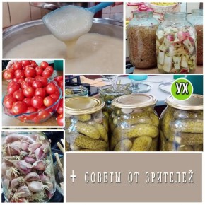 Полезные советы и рецепты от зрителей: что стоит попробовать