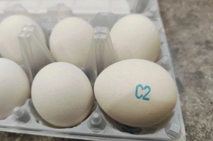 ��� ��������� ������� ��������: ������ ����������������