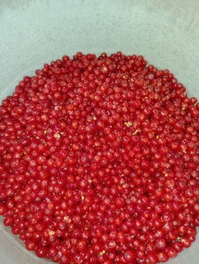 ��� ����������� ������� ���� �� ������� ���������