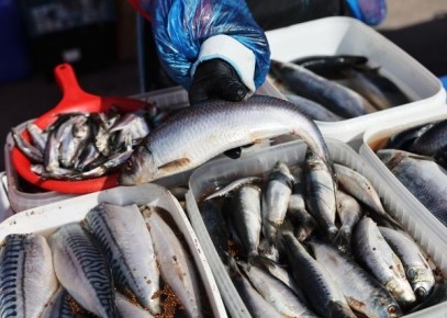 Почему эксперты советуют избегать селедки в банках