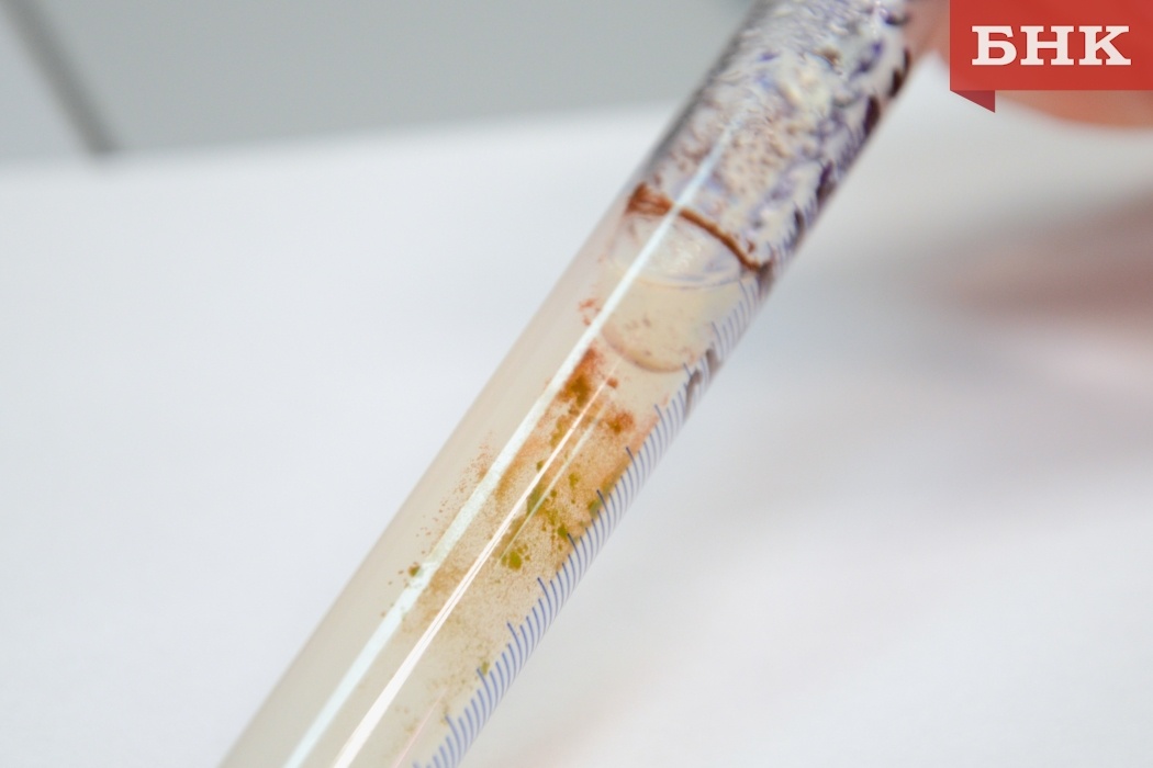 Почему лосось окрашен в красный цвет: научный взгляд на загадку