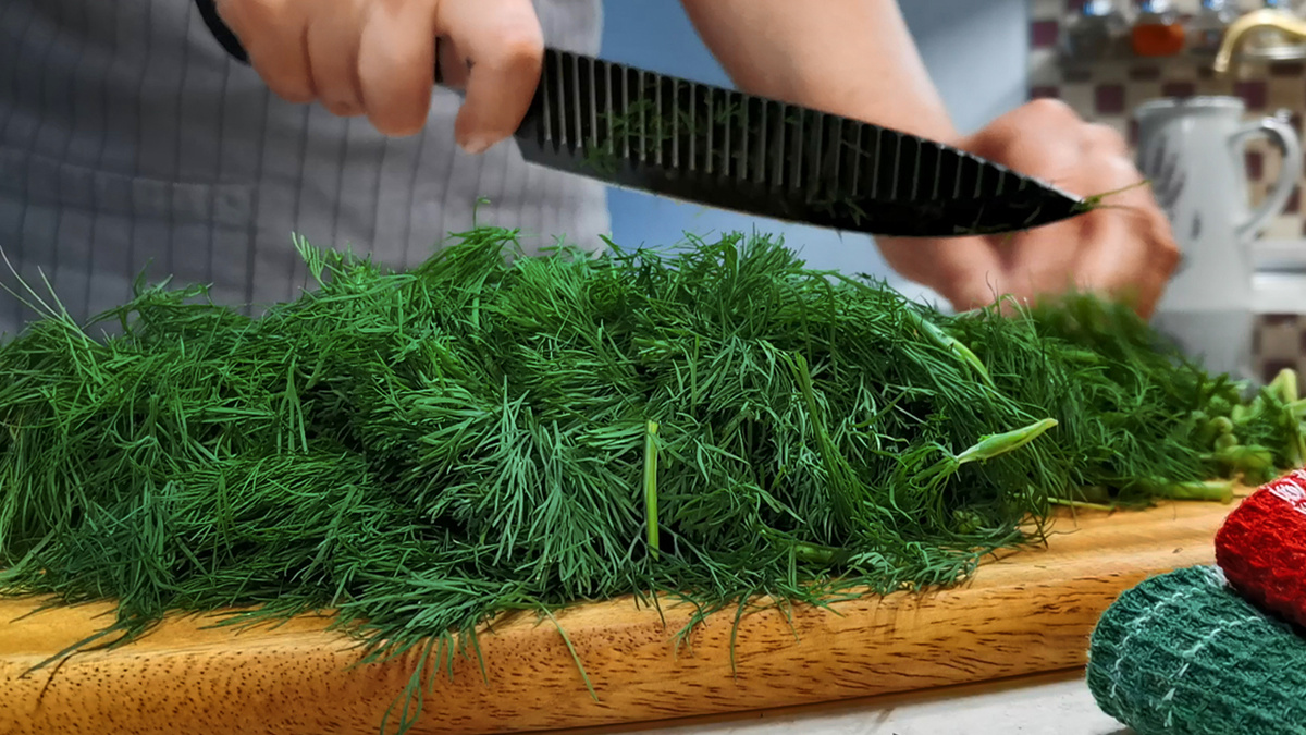 Как заготовить зелень на зиму: простые и вкусные идеи для закуски