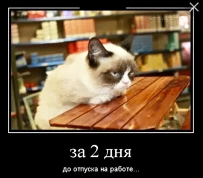 ���� � �����: ��� �������� ������ � �������