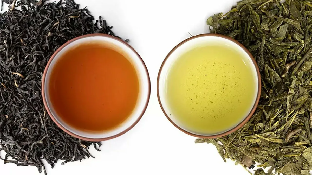 Какой чай выбрать: зеленый или черный?