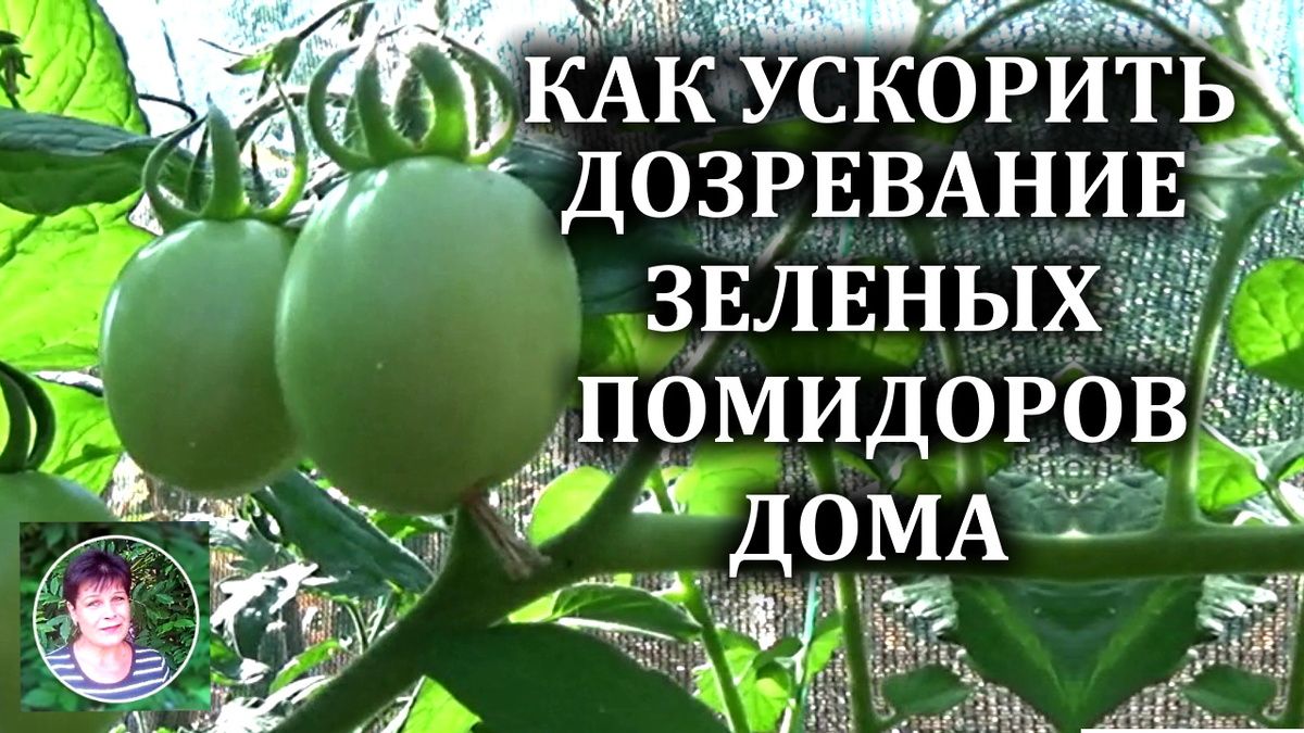 ��� �������� ���������� ������� ��������� � �������� ��������