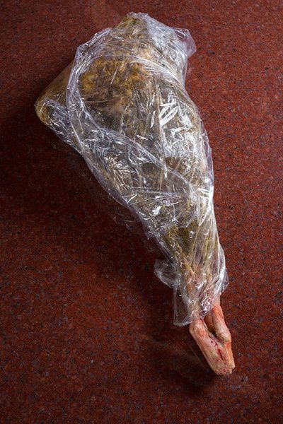 ��������� ���������: ��� �������� ��������� ������� ����