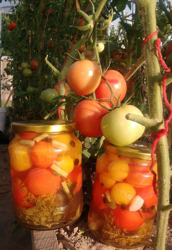 Идеальные маринованные помидоры с мятой и корицей: секреты вкуса