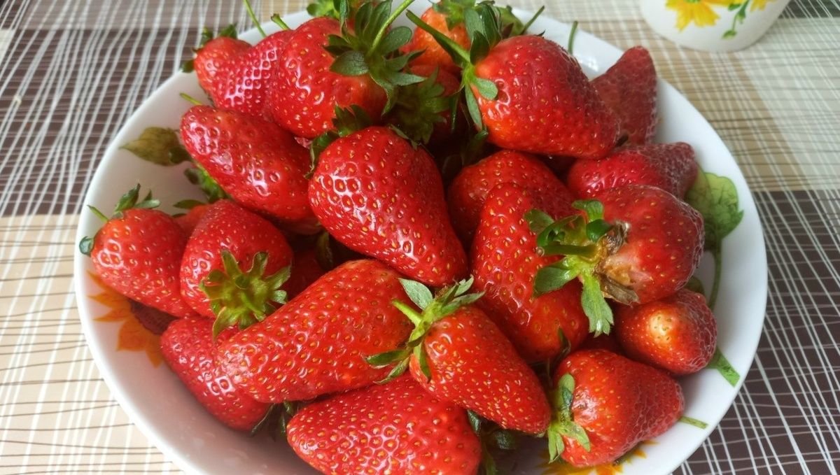 Как локальные продукты могут продлить жизнь: советы эксперта