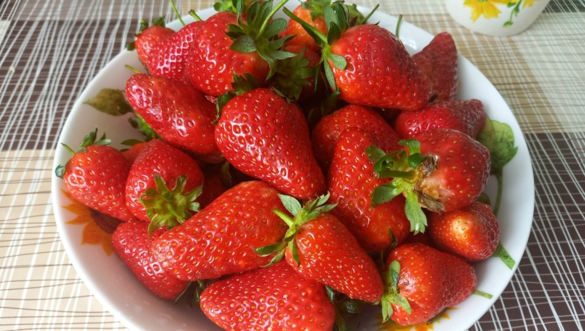 Как локальные продукты могут продлить жизнь: советы эксперта