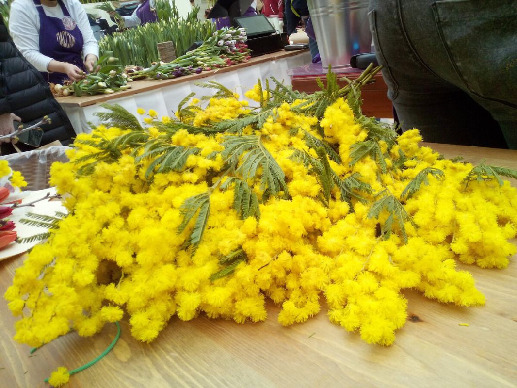 Вкусные воспоминания о 8 Марта: как мы радовали мам и бабушек