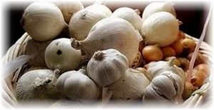Как правильно хранить чеснок: секреты и советы