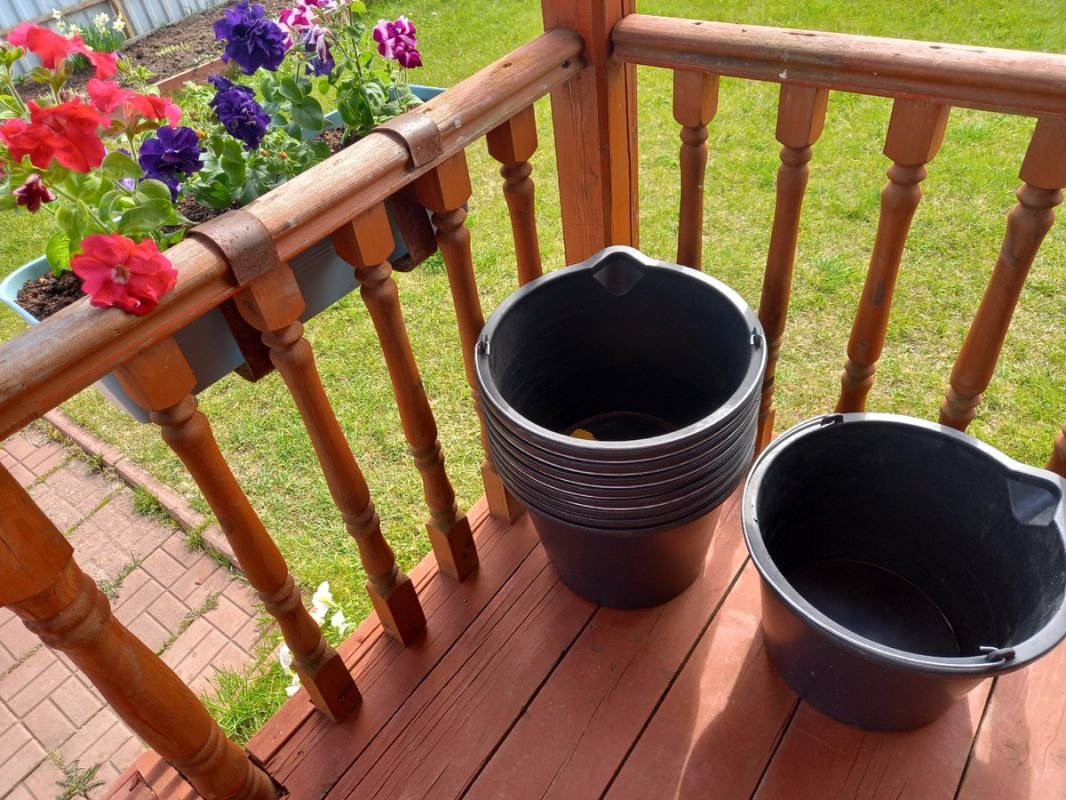 Непредвиденные трудности с недорогими ведрами для петуний из Светофора