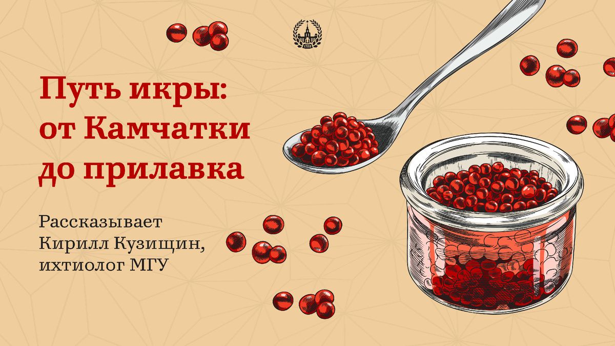 Икра: Не просто деликатес, а культурное наследие России