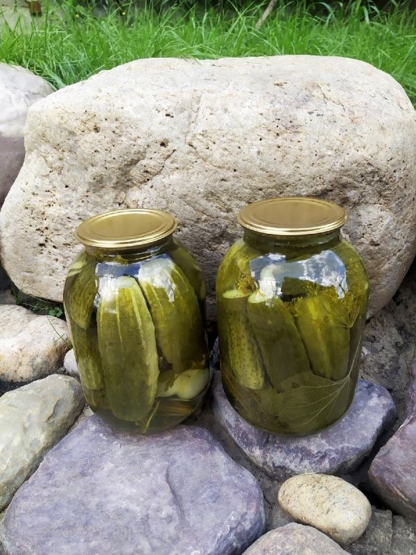 Как приготовить малосольные огурчики на зиму: простой рецепт для всей семьи