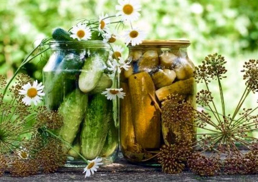 ������� ������ ���������: ����������� ������� �� ��������� ��������