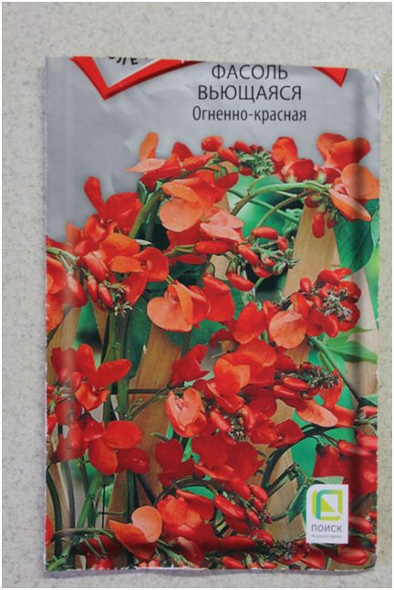 ��� ��������� ������������ ������ �� ����: ������� ������