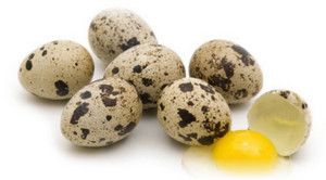 ��� ��������� ������ ����������� ����: ��� �������