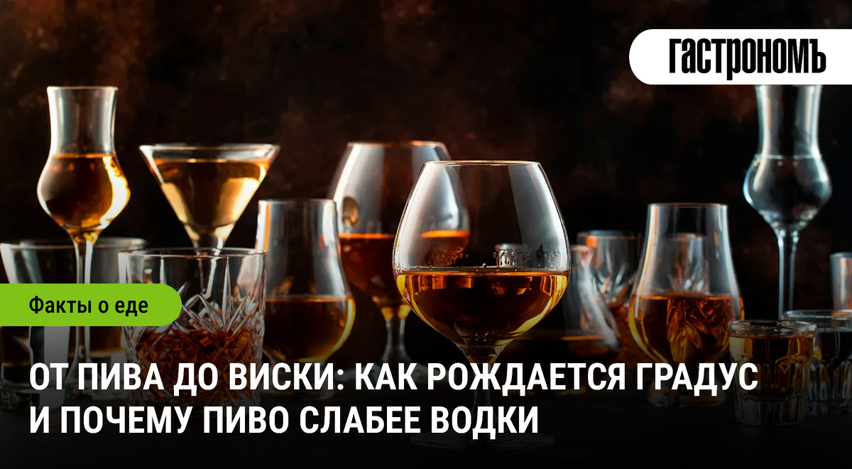 Алкоголь и крепость: как законы науки определяют содержание спирта в напитках