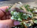 Вкусная закуска из селедки, которая покорит сердца всех