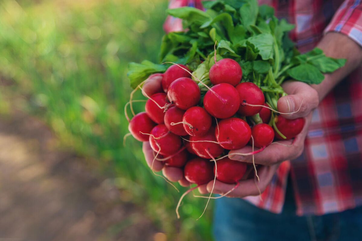 ��� ��������� ������� ����� ������: ������ ����� ��� ������� ����� ������