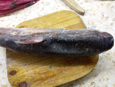 ������ �����: ������ ������� ���� ���������� � ������