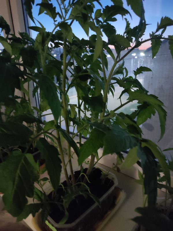 ����� � ��� �������� ������� ��������� � �������� �����