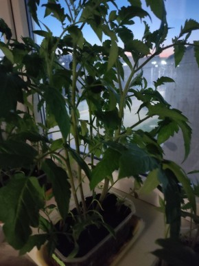 ����� � ��� �������� ������� ��������� � �������� �����