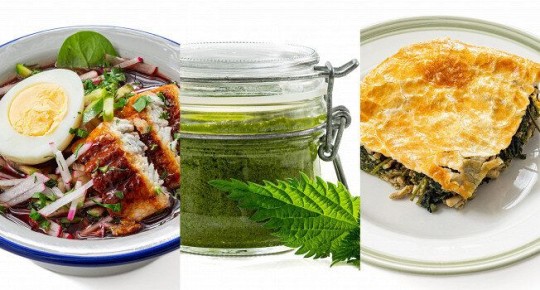 ����������� ����� � ��������: �� ����� �� ������