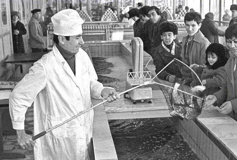 ����������� ������ �����������: ��������, ������ � ���������� ������������ �� ���� �����