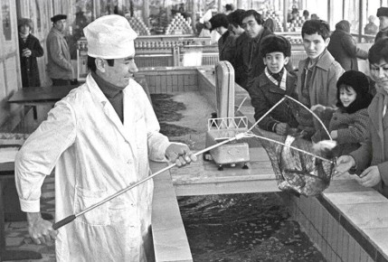 ����������� ������ �����������: ��������, ������ � ���������� ������������ �� ���� �����