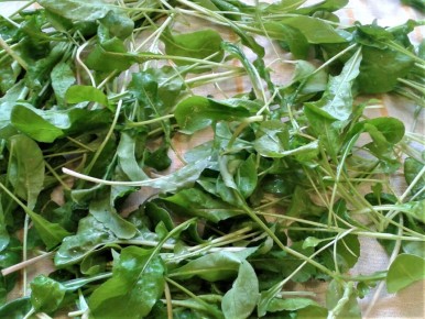 �������� �����: ��������� ����� � ������� ������