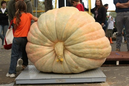 ������ ����� ��������� ������������ ��������?