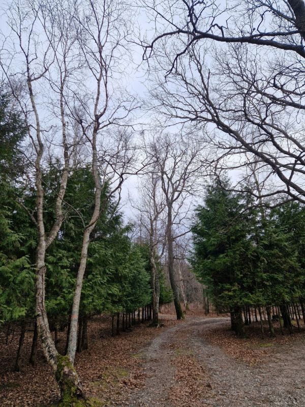 �� �������� ����: ��� ���������� ������ �� ������ �������