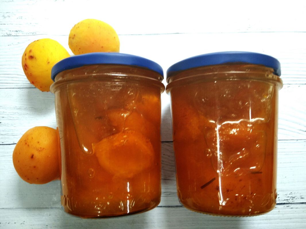 � ���� ���� ���� ��������� ����� �������� ����������