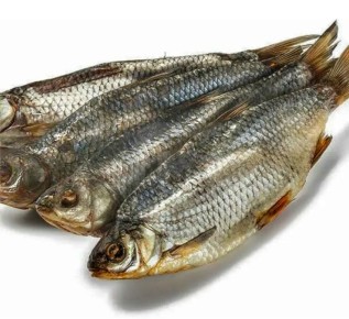 ��� ������ ���� � ������: ����������� ����� ��� ���������� ����������