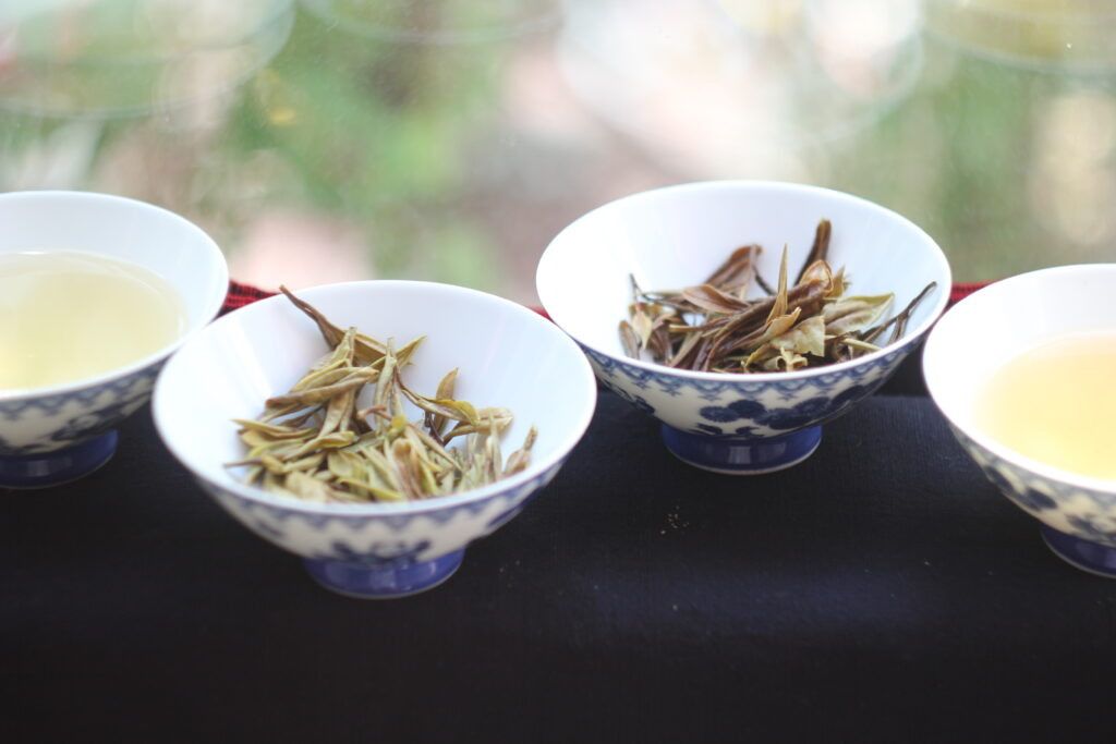 ������ �������: �� ���� �� ������