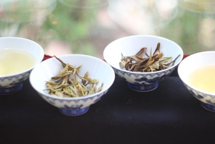 ������ �������: �� ���� �� ������