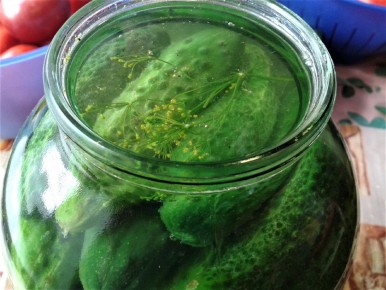 ������� ������ �� ����: �������� ������ ��� ������